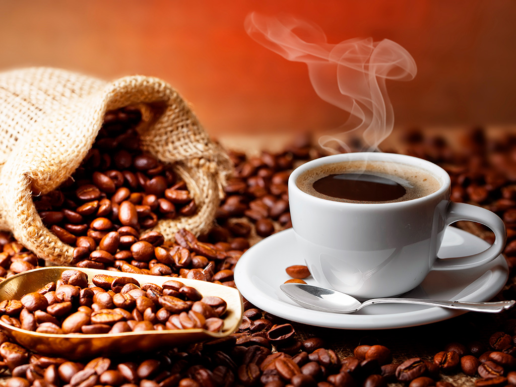 Pós-colheita do café: Dicas para preservar a qualidade do produto