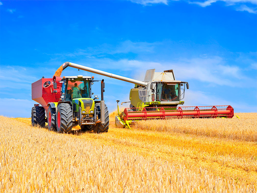 Máquinas e Implementos Agrícolas em 2021