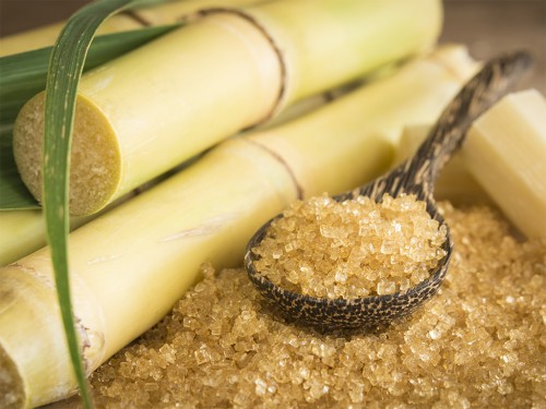 Principais Fatores que Afetam a Qualidade da Cana-de-Açúcar