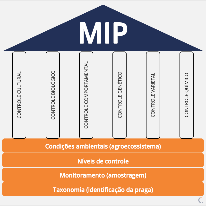 Pilares do MIP
