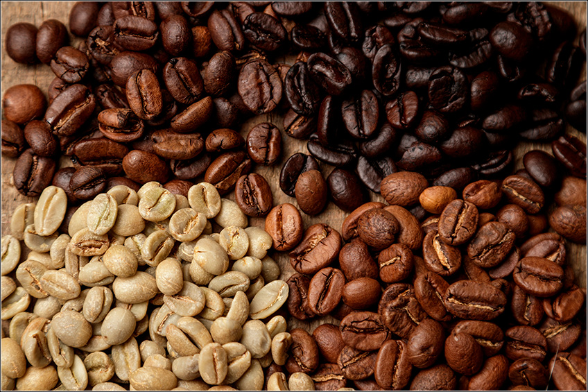 Descubra a diferença entre o café conilon e o arábica