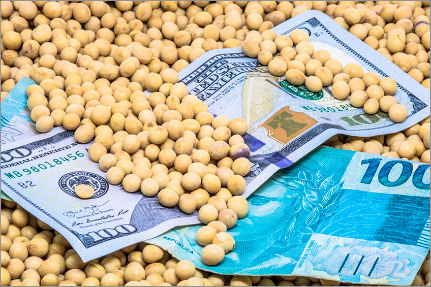 CHBAGRO - Produtores já estão vendendo a soja que será colhida em 2022